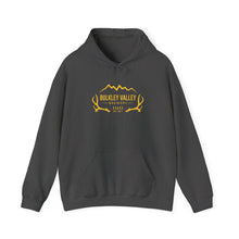 Load image into Gallery viewer, Broken Arrow Unisex Hooded Sweatshirt
